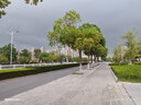 KTC 24.5英寸260Hz升降旋轉(zhuǎn)FastIPS原生240Hz廣色域HDR400亮度顯示屏電腦顯示器國(guó)家補(bǔ)貼H25T7-3代 曬單實(shí)拍圖