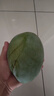 京鮮生 攀枝花凱特芒果 凈重8.5斤 帶箱9斤 單果400g+ 生鮮水果源頭直發(fā) 曬單實拍圖