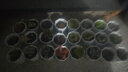 多肉植物組合盆栽陽(yáng)臺桌面喜陽(yáng)植物帶盆土果凍顏色 24顆隨機不重復【24八角盆和土】 曬單實(shí)拍圖