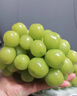 【產(chǎn)地直采】陽(yáng)光玫瑰青提 1.5kg 單果8g起 曬單實(shí)拍圖