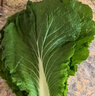 良知農(nóng)哥【順豐】東北新鮮白菜葉飯包大白菜葉子打包 新鮮蔬菜 20片菜葉+醬 空運 曬單實拍圖