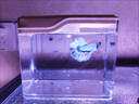 臨雅生態(tài)造景泰國(guó)斗魚缸迷你金魚缸爬寵缸烏龜缸水族箱桌面幼苗孵化盒 mini魚缸-米白(帶LED燈) 曬單實(shí)拍圖