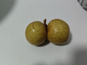 愛(ài)鮮摘農場(chǎng) 廣東石硤儲良龍眼【JD順豐-多地次日達】石峽桂圓水果禮盒送禮 儲良龍眼｜老饕必選【甜爆了】 精選果丨5斤裝【超值推薦】?jì)?.5 曬單實(shí)拍圖