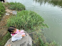 臻佑（Grsaed）兒童魚竿套裝小孩初學(xué)專用釣魚竿釣蝦釣蟹釣小物竿1.5m小萌兔粉 曬單實(shí)拍圖