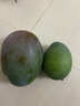 【新鮮上市】正宗攀枝花凱特芒果新鮮水果 帶箱5斤 中大果【單果200-300g】 曬單實(shí)拍圖