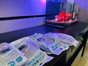 金利佳（Jeneca）魚缸過濾器凈化生化過濾棉替換棉掛壁式過濾材料8D棉生化棉蛋白棉 XP-05/09/11/13過濾板【8片】 曬單實拍圖
