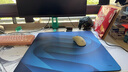 卓威奇亞（ZOWIE GEAR）H-SR-SE瀾II 電競鼠標墊 細面鼠標墊 游戲鼠標墊大號 滑墊 絲滑控制兼具 電競桌墊 曬單實拍圖