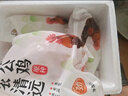天農(nóng) 純種清遠(yuǎn)雞整雞肉 2斤 山林散養(yǎng)清遠(yuǎn)土雞走地雞 冷凍 供港品質(zhì) 曬單實(shí)拍圖