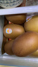 佳沛（zespri）新西蘭  陽(yáng)光金果18粒原箱單果重173-204g 獼猴桃 中秋水果禮盒 曬單實(shí)拍圖