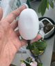 派樂(lè )特 魚(yú)缸小型增氧機USB微型增氧泵打充氧機車(chē)載戶(hù)外釣魚(yú)沖氧氣泵1w 曬單實(shí)拍圖