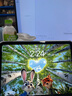 【現(xiàn)貨速發(fā)】iPad 10/9代（第十代/九代）蘋果平板電腦iPad ipad10 銀色10.9寸 256G wifi版 未使用+店保2年 曬單實(shí)拍圖
