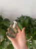 寶格麗大吉嶺茶香水50ml 七夕情人節(jié)送男友 效期至26年9月無禮盒禮袋 曬單實拍圖