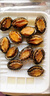 新鮮鮑魚(yú)活凍鮑魚(yú)鮑魚(yú)新鮮海鮮水產(chǎn)貝類(lèi)包郵 【10頭左右/斤】鮑魚(yú)2斤裝 曬單實(shí)拍圖