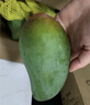 甜果源 攀枝花凱特芒 四川芒果青皮芒果老樹(shù)上現摘現發(fā)應季時(shí)令生鮮水果 凈重4.5-5斤【80%人選擇】 單果300g+【小個(gè)頭 大甜蜜】 曬單實(shí)拍圖