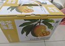 京鮮生 樹上熟 即食凱特芒果 5斤禮盒裝 4-6顆 生鮮水果 曬單實拍圖