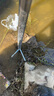 佐之尋釣魚(yú)傘地插金屬地叉三角叉大小號鍍鋅釣魚(yú)傘固定地插傘插漁具配件 鍍鋅傘插 特大號(長(cháng)33厘米) 曬單實(shí)拍圖