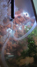 奈寵（NaiChong）魚(yú)缸潛水泵換水抽水泵底吸泵龜缸低水位低噪超小型養魚(yú)循環(huán)過(guò)濾泵 27W【底吸升級款】+1.5米牛筋管 曬單實(shí)拍圖