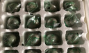 神郵 高郵皮蛋松花蛋 熟16枚*60g無(wú)鉛工藝家庭裝 中秋企業(yè)團購 曬單實(shí)拍圖