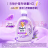 金紡衣物調(diào)香大師香氛香水護(hù)理柔順劑薰衣草10斤除味防靜電留香除濕味 曬單實(shí)拍圖