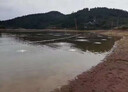 五閬機(jī)械三葉羅茨鼓風(fēng)機(jī)高壓增氧機(jī)魚塘曝氣工業(yè)水產(chǎn)養(yǎng)殖污水處理鼓風(fēng)機(jī) 50型風(fēng)機(jī)+3KW電機(jī) 曬單實(shí)拍圖