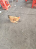 盯盯拍行車(chē)記錄儀MINIPro 3K超清夜視 WDR寬動(dòng)態(tài)F1.55光圈 360度旋轉(zhuǎn) 曬單實(shí)拍圖