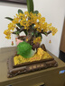 發(fā)財(cái)樹(shù)擺件金蟾玉白菜客廳裝飾工藝品店鋪前臺(tái)辦公室開(kāi)業(yè)禮物 【順豐】YX12寸金蟾納財(cái)沙金26*1 曬單實(shí)拍圖