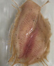 京東京造黑椒鯛魚排500g  低脂高蛋白羅非魚排魚柳煎炸早餐無骨無刺輕食 曬單實拍圖