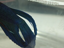好養易活漂亮進(jìn)口寵物泰國斗魚(yú)活體觀(guān)賞魚(yú)淡水熱帶魚(yú)小型半月活魚(yú) 精品馬尾公1條 曬單實(shí)拍圖