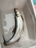 金龍 魚(yú)餌野釣窩料五谷雜糧底窩鯽魚(yú)鯉魚(yú)草魚(yú)青魚(yú)水庫重窩巨物打窩料 巨物霸·餌（2包） 曬單實(shí)拍圖
