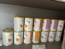 雀巢（Nestle）荷蘭版肽敏舒藹兒舒葛兒舒深度水解奶粉HMO恩敏舒氨基酸奶粉 全段 荷蘭版 肽敏舒低乳糖【6罐裝】 曬單實拍圖