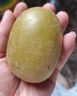 佳沛（zespri）新西蘭  陽(yáng)光金果16粒經(jīng)典果單果 77-103g 中秋水果禮盒 獼猴桃 曬單實(shí)拍圖