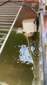 SOBO魚(yú)缸過(guò)濾器三合一凈水循環(huán)免換水內置水泵吸便增氧圓形小型透明 30W （4節40.5cm） 曬單實(shí)拍圖