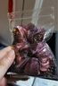 Royal sasa七夕禮物發(fā)飾發(fā)圈串珠布藝頭花頭飾手工花朵發(fā)繩盤發(fā)馬尾頭繩 曬單實拍圖