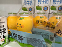 金豆芽?jì)和疸y花柚子汁155ml*16瓶夏天孩子飲料寶寶零食果汁西柚汁 曬單實(shí)拍圖