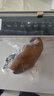 小熊（Bear）真空壓縮封口機(jī) 家用商用全自動(dòng)封口真空一體機(jī) 干濕兩用抽真空密封機(jī)包裝機(jī) FKJ-G01F2 曬單實(shí)拍圖