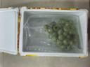 京鮮生 陽光玫瑰葡萄 青提2-2.5斤裝 單果約10g 生鮮水果 曬單實(shí)拍圖