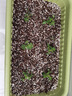 原起點(diǎn)3.5L營(yíng)養土養花通用種菜專(zhuān)用進(jìn)口泥炭有機土壤種植土（添加奧綠肥 曬單實(shí)拍圖