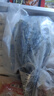 馬步魚干燒烤半成品針魚片棒棒魚多味魚商用燒烤食材海鮮干貨 馬步魚*2包 (80g/包） 曬單實拍圖