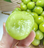 傾睦陜西陽(yáng)光玫瑰葡萄青提提子晴王青葡萄少籽甜葡萄新鮮水果應季現摘 凈重1斤 曬單實(shí)拍圖