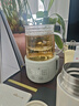 小熊（Bear）迷你養生壺養生杯 電燉杯電熱杯煮花茶壺燒水壺辦公室杯子0.4L全玻璃杯體YSH-F04E1 曬單實(shí)拍圖