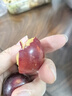 庾豐當季新鮮現摘脆紅李 新鮮水果整箱 孕婦脫骨青紅李子 團購送禮 5斤裝（凈果4.5斤）甄選果 顆顆甄選 產(chǎn)地直發(fā) 曬單實(shí)拍圖