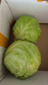 包菜新鮮卷心菜大頭菜農(nóng)戶自種當(dāng)季綠葉蔬菜綠甘藍(lán) 綠甘藍(lán) 5斤 曬單實(shí)拍圖