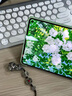 言臣適配華為matepad mini保護套磁吸8.8寸智能皮套華為mini平板保護殼柔光版全包輕薄液態(tài)硅膠外殼 【云杉綠】親膚觸感|輕薄便攜|送鋼化膜 華為MatePad mini 曬單實(shí)拍圖