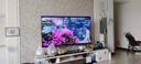 TCL電視 65T6L Pro 65英寸 QD-Mini LED 蝶翼星曜屏 萬象分區(qū) 絢彩XDR 1100nits DeepSeek 國家補(bǔ)貼 曬單實(shí)拍圖