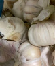 東方甄選大蒜3斤裝白皮蒜干蒜頭蒜香濃郁當季蔬菜整箱 3斤大果5-6cm（約20~35顆） 曬單實(shí)拍圖
