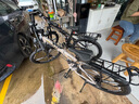 鳳凰（PHOENIX） 鳳凰自行車可折疊山地車路虎男士成年人變速女式越野公路單車 可折疊鋁架/三刀消灰/全競速軸承 26寸24速【參考：158-188cm】 曬單實(shí)拍圖