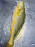 翔泰海南深海金鯧魚(yú)700g 2條 燒烤 火鍋 生鮮魚(yú)類(lèi) BAP認證 海鮮水產(chǎn) 曬單實(shí)拍圖