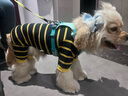 拉夫威爾ruffwear嗨輕狗狗胸背帶狗背帶中小型犬雪納瑞背帶式狗狗牽引繩 鼠尾草綠/霧森綠 S 曬單實(shí)拍圖