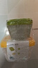 茶花（CHAHUA）保鮮盒出游野餐盒水果蔬菜收納盒食品級(jí) 冰箱塑料收納盒 6件套 曬單實(shí)拍圖