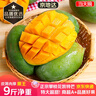 京地達攀枝花凱特芒果 9斤巨無(wú)霸單果650g+肉厚無(wú)絲新鮮水果源頭直發(fā) 曬單實(shí)拍圖
